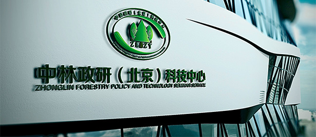 中林政研